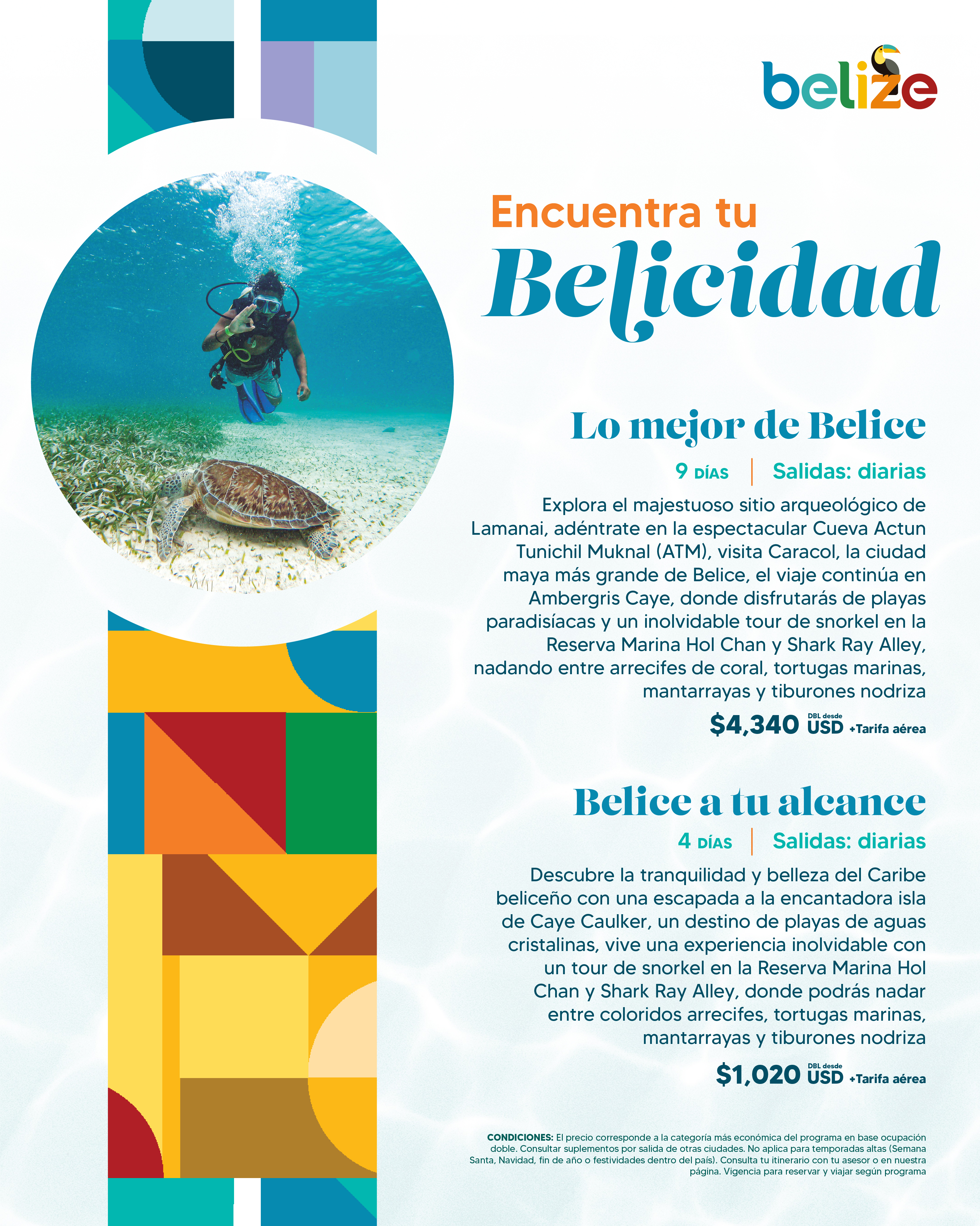 Descarga