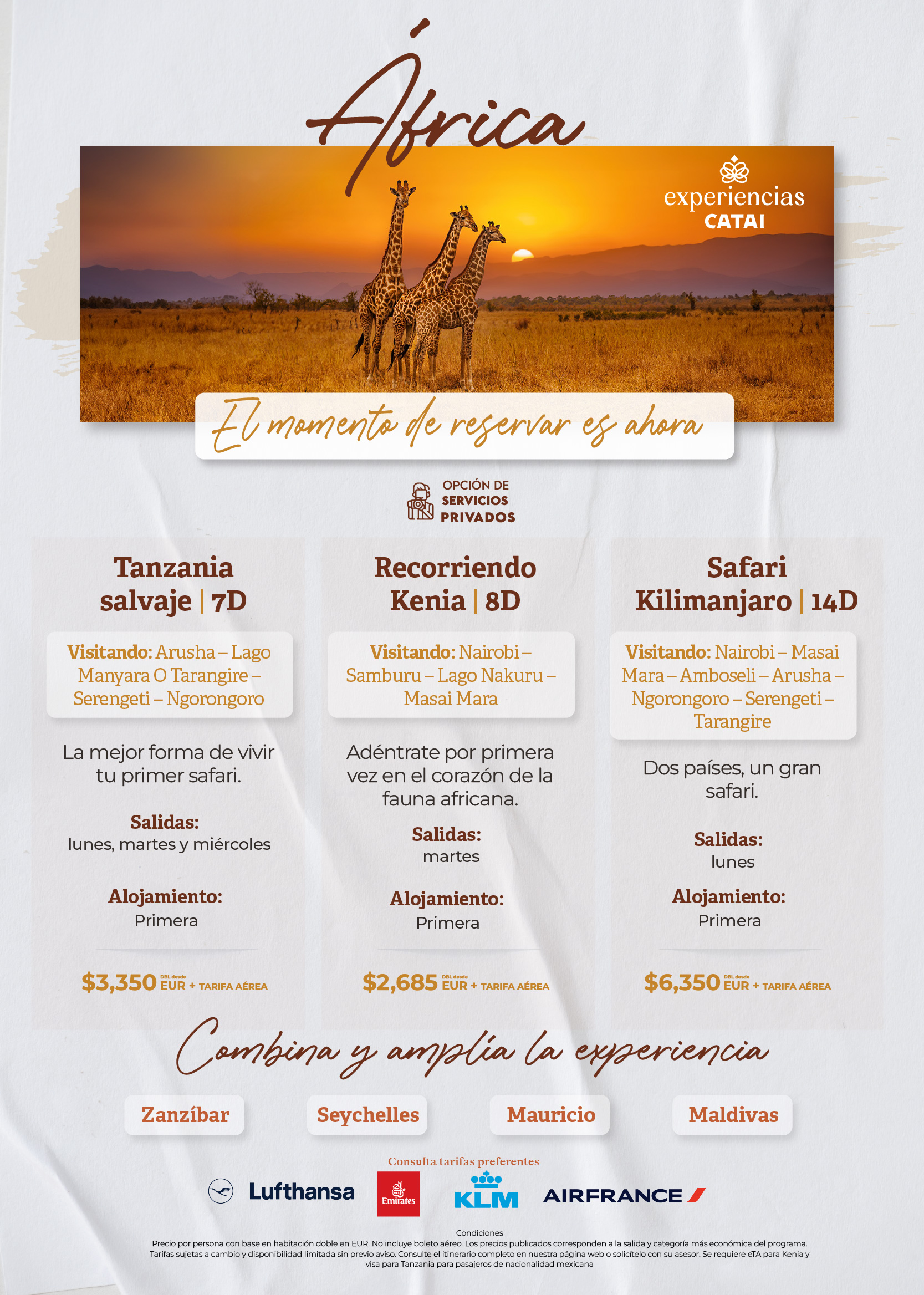 Descarga