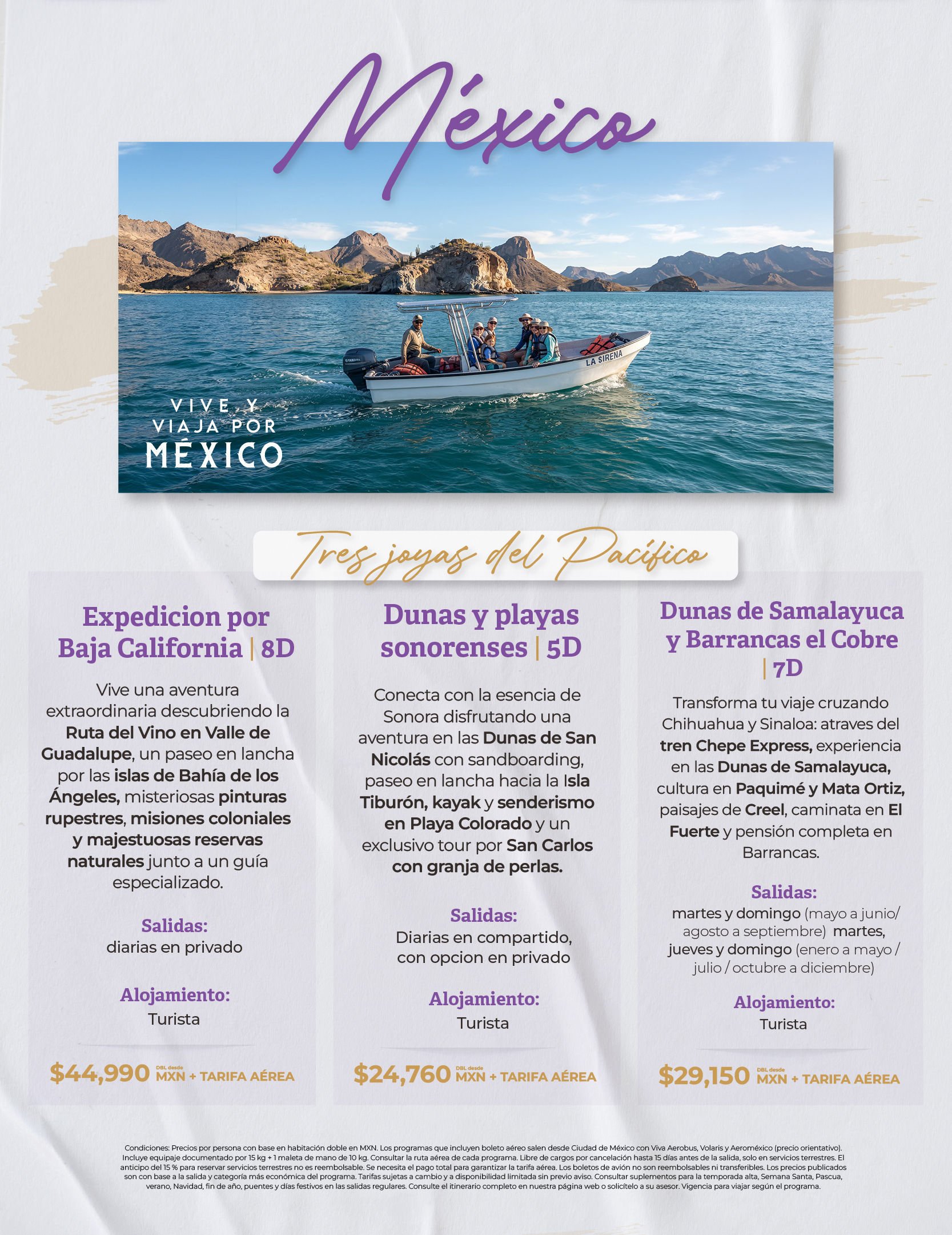 Descarga